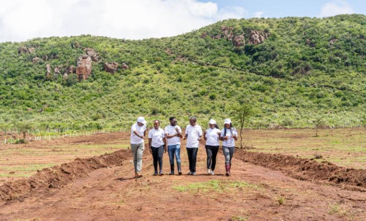 Open Day: Acremann Properties Launches New Real Estate Development in Nachu, Kiambu — photo 11